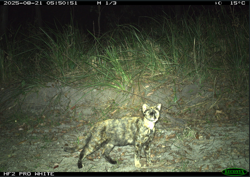 Screenshot 2025-09-26 124309 (1)