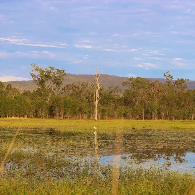 GH_PILandscape_1140x0-1